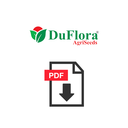 pdf-df